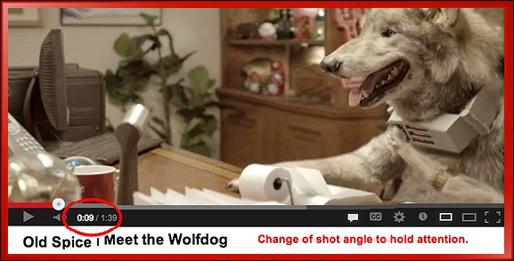 YouTube Meet the Wolfdog