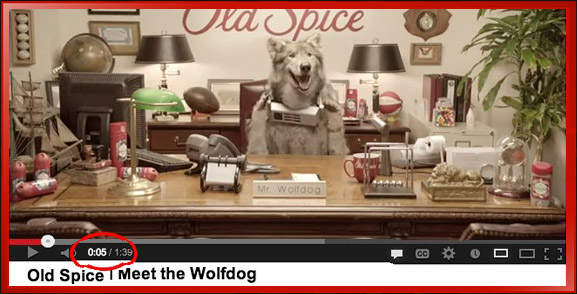 Old Spice Meet the Wolfdog